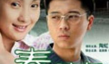 春草电视剧,岁月流转中的青春记忆