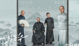 大师电视剧,揭秘传奇人生，探寻艺术与命运的交织