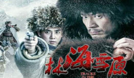 林海雪原电视剧多少集,跨越雪原的传奇，共XX集精彩呈现